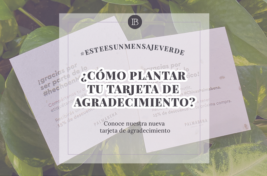 ¿Cómo plantar tu tarjeta de agradecimiento?